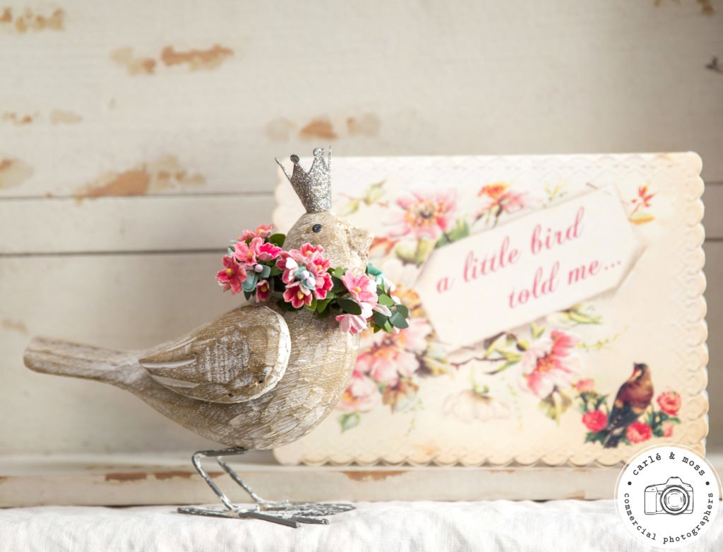 Lexi Loves Greetings Card Collection photographed by Carle & Moss