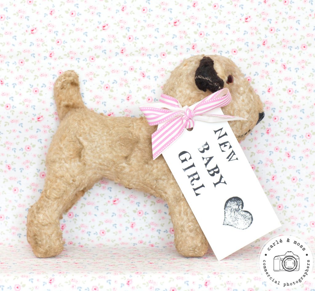 Lexi Loves Greetings Card Collection photographed by Carle & Moss