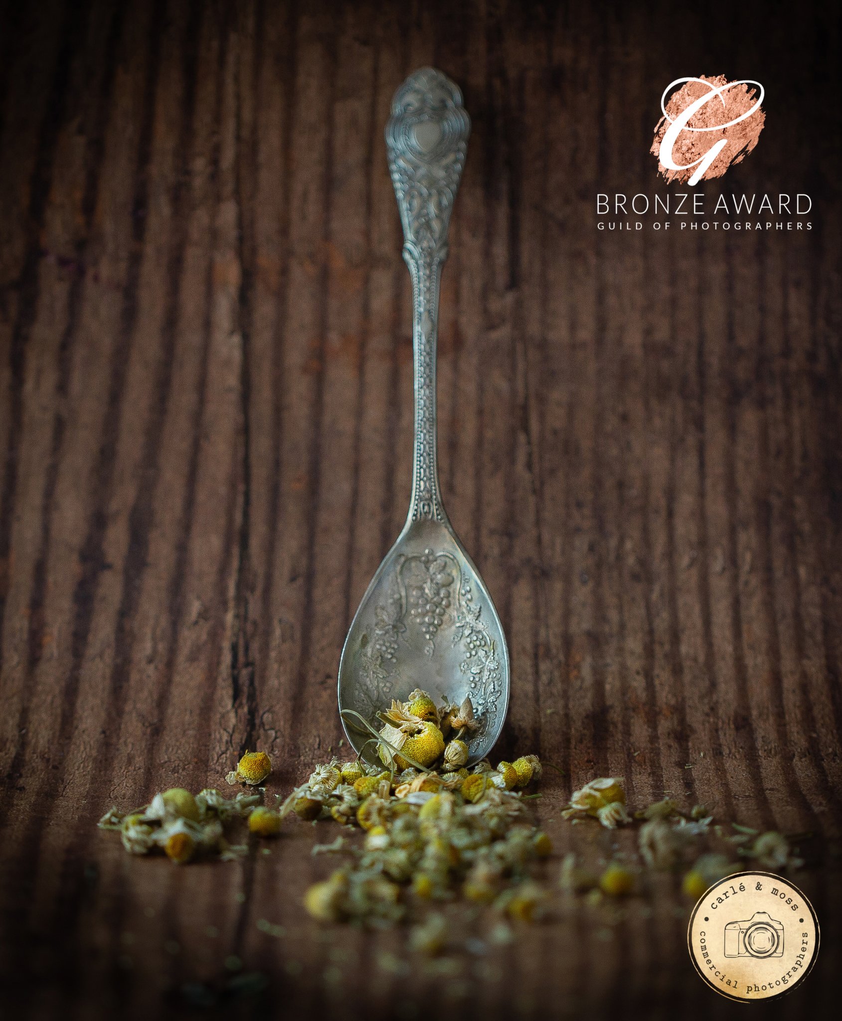 Bronze-Bar-Guild-of-Photographers-commercial-photography-carle-and-moss