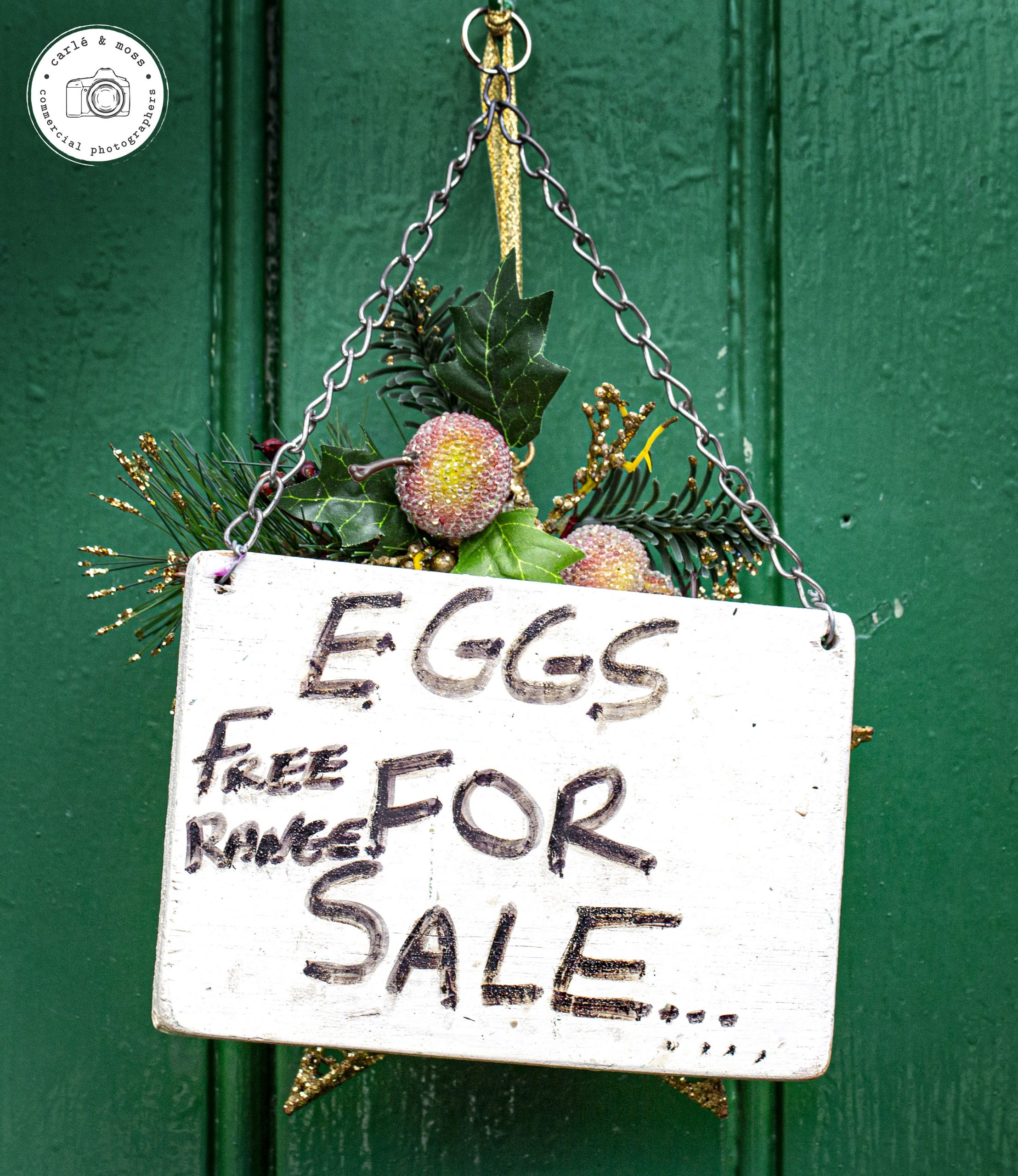 Eggs-for-sale