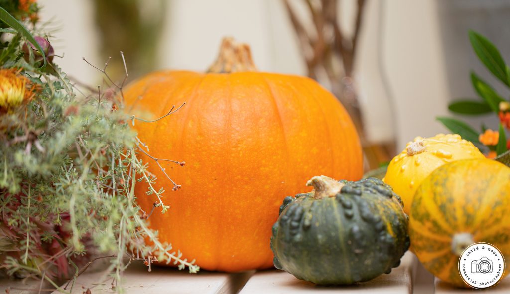 Commercial Business and Lifestyle Photographer 