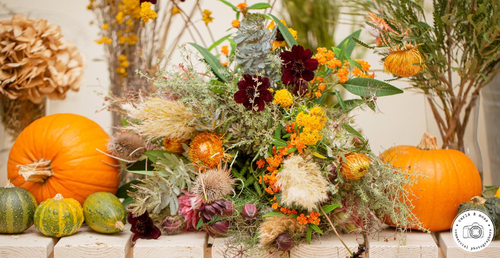 Commercial Business and Lifestyle Photographer 