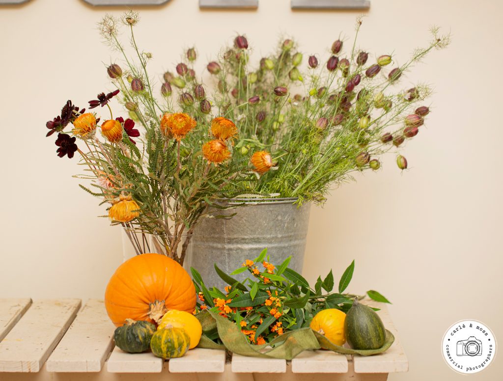 Commercial Business and Lifestyle Photographer 