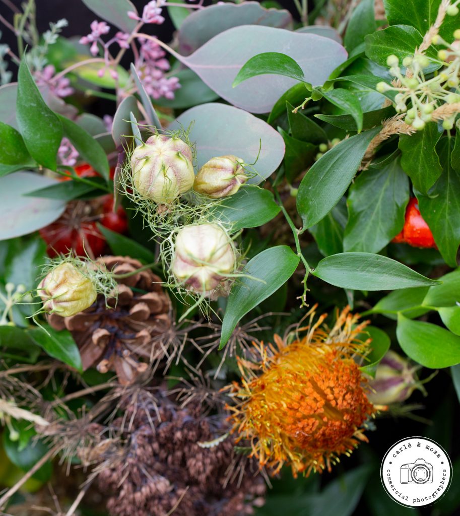 Commercial Business and Lifestyle Photographer 