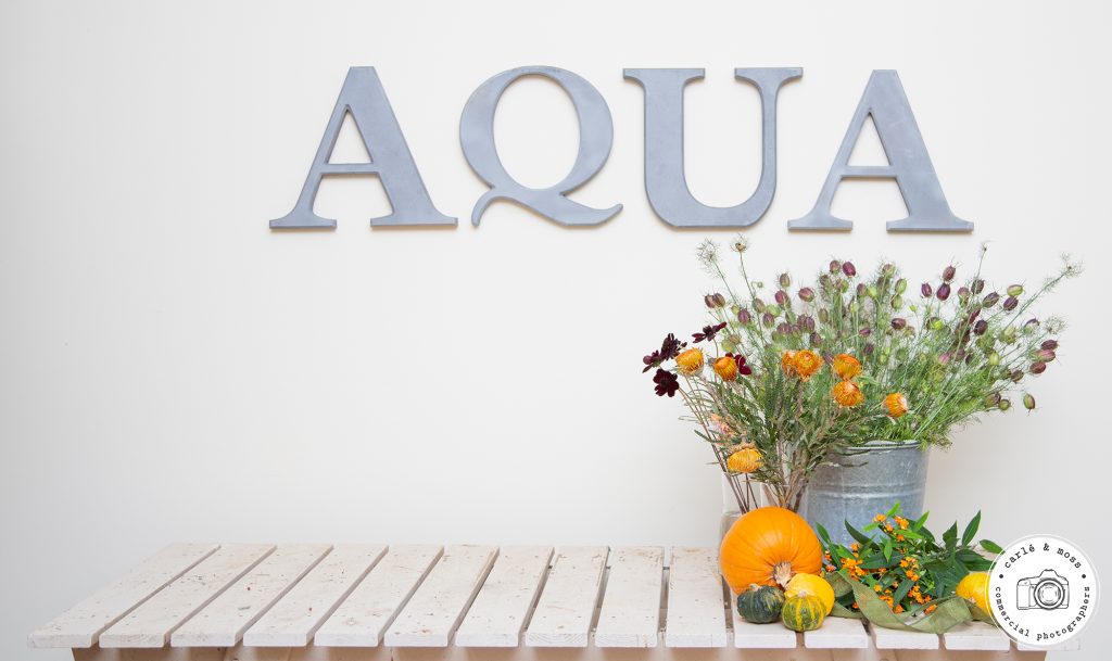 Commercial Business and Lifestyle Photographer 