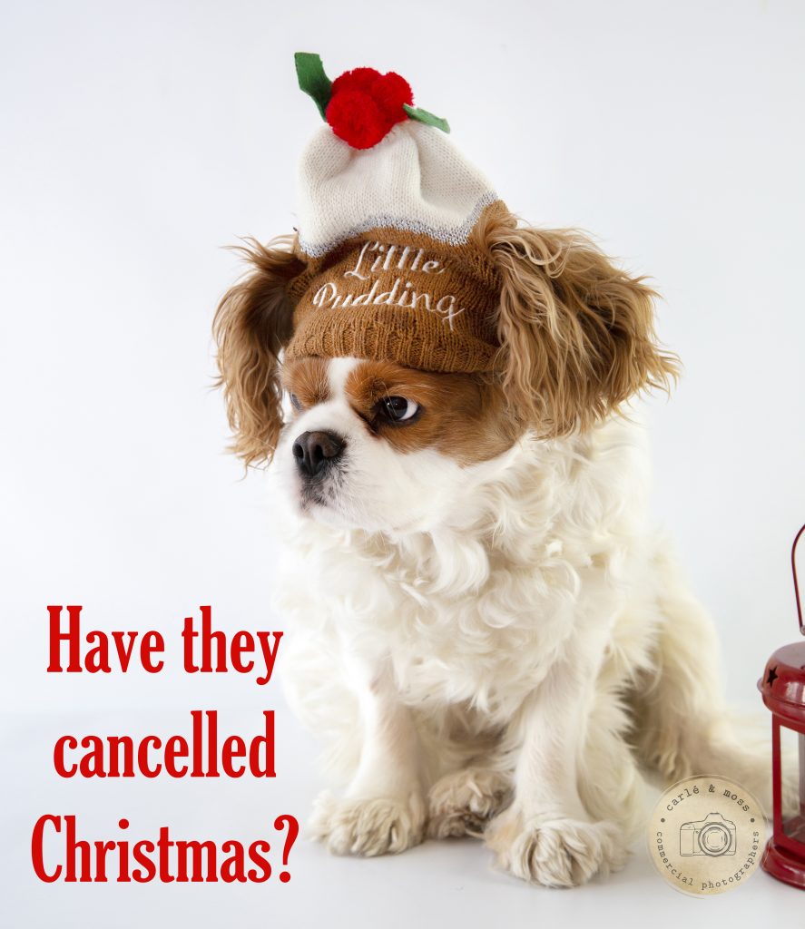 Commercial Business and Lifestyle Photographer 