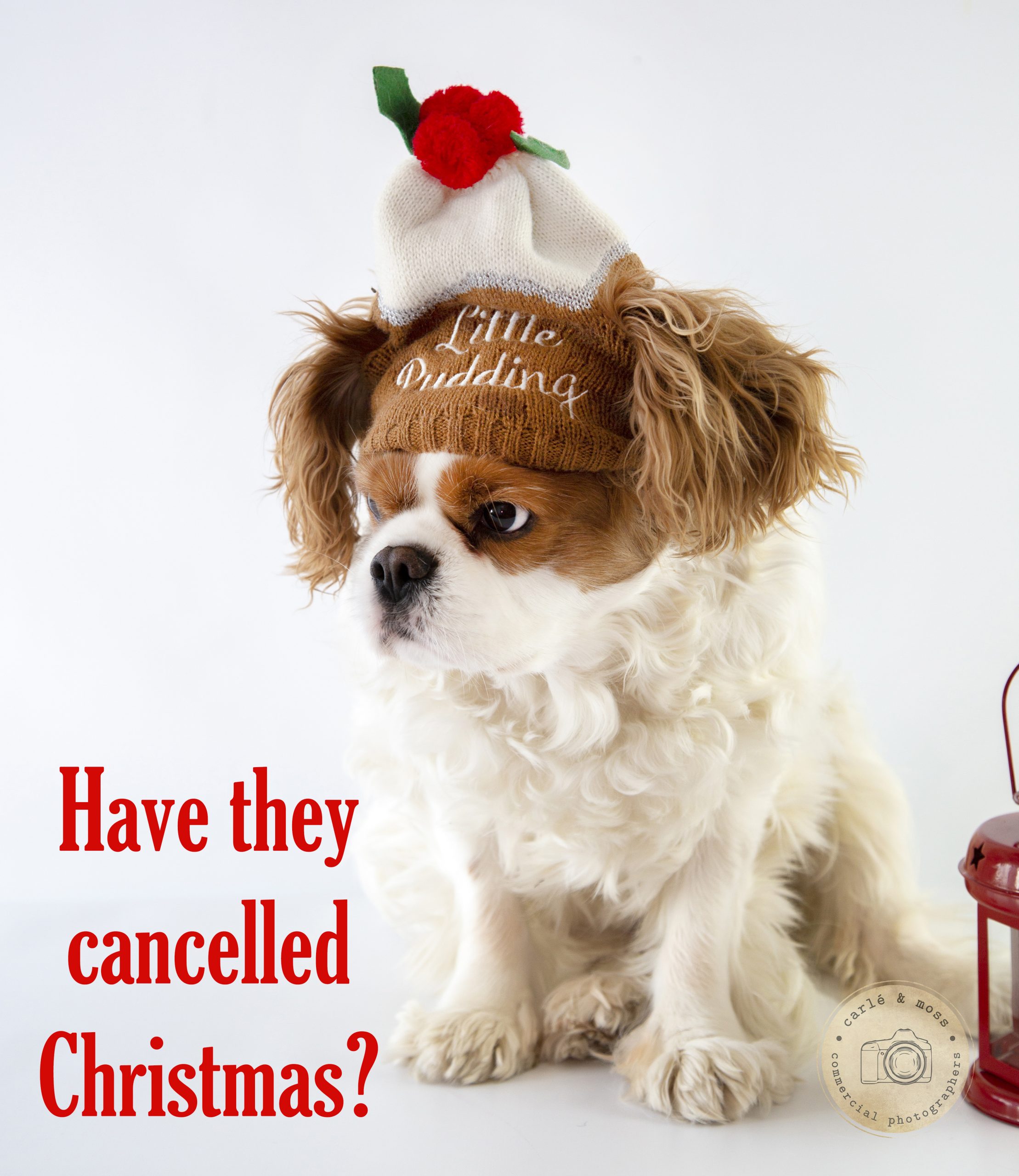 Commercial Business and Lifestyle Photographer