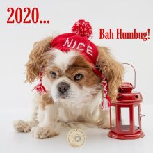 Commercial Business and Lifestyle Photographer