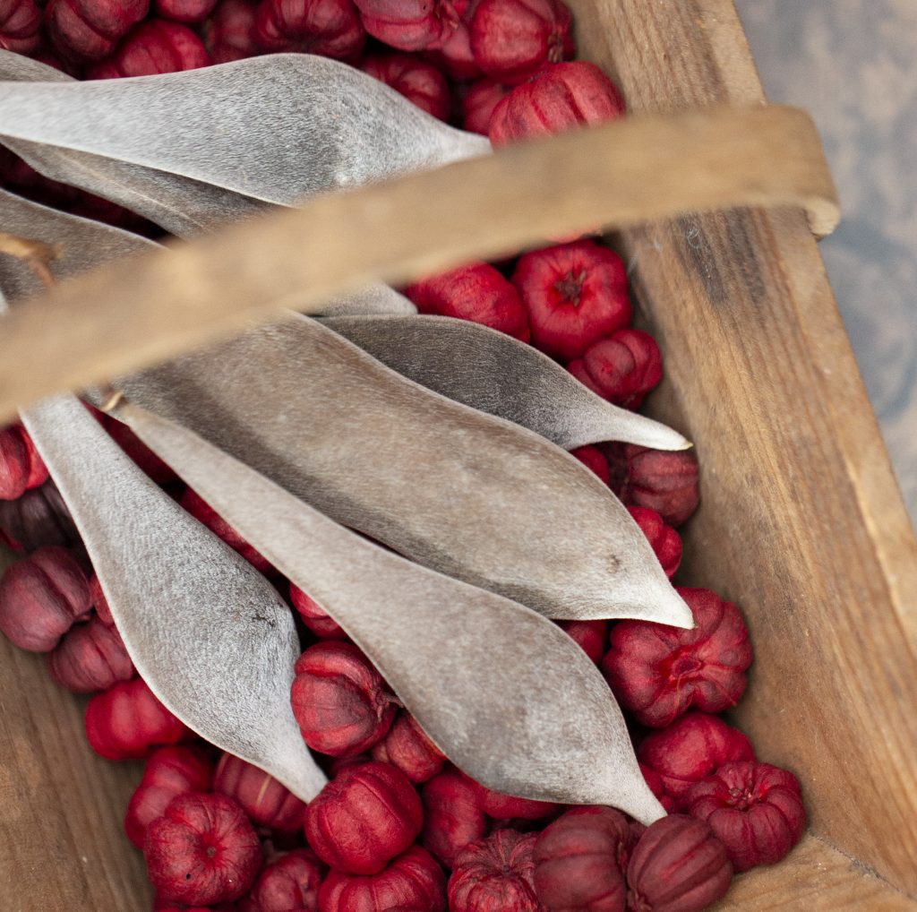 Christmas-brand-photography