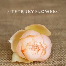 The Tetbury Flower Company Wedding Flower Photography