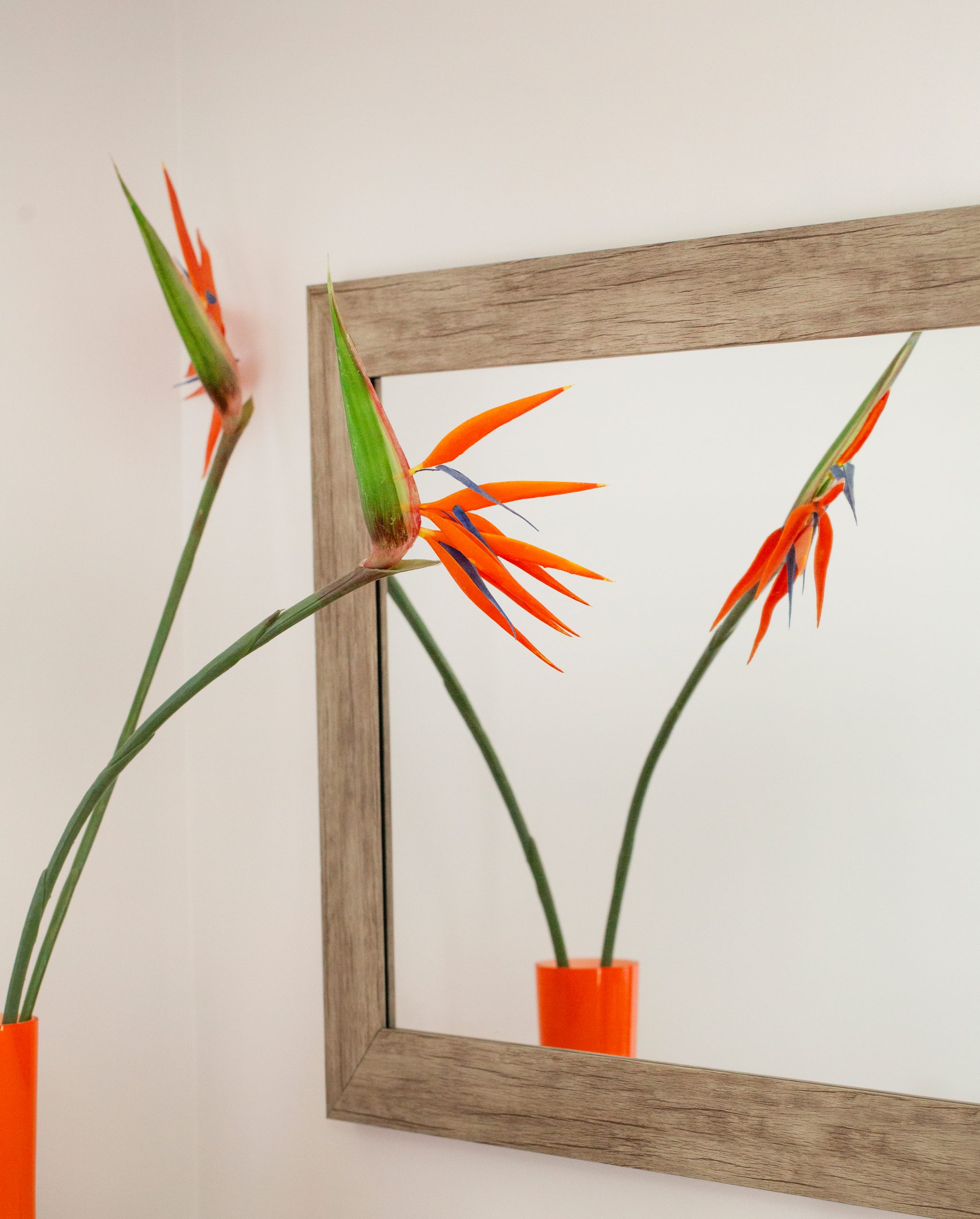 Cotswold Interior Design Photographer Nikki Kirk