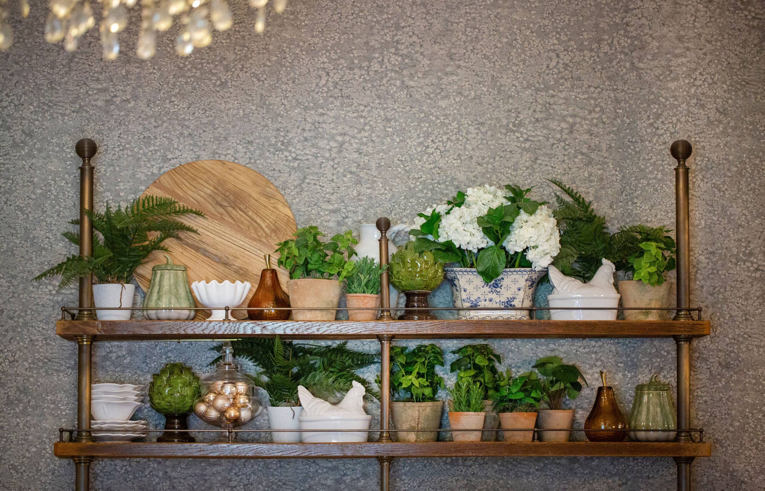Interior Design Photographer Nikki Kirk